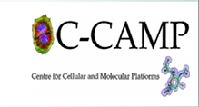 Client company logo